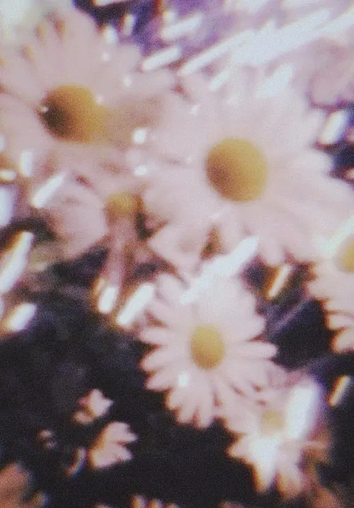 Poster do filme Amorphous diary