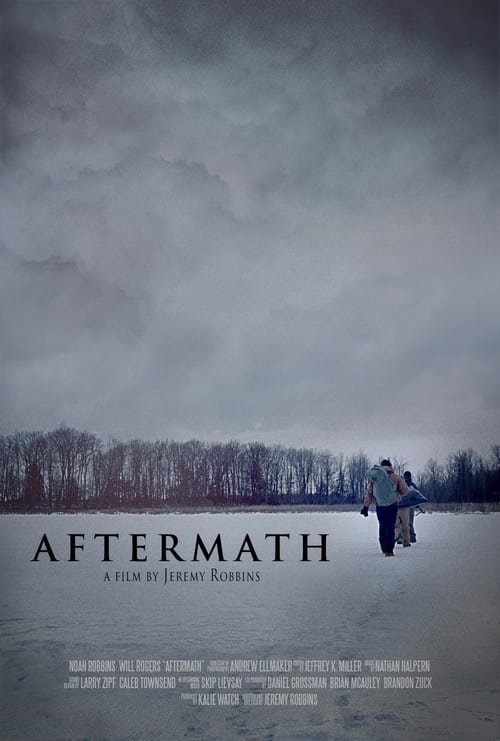 Poster do filme Aftermath