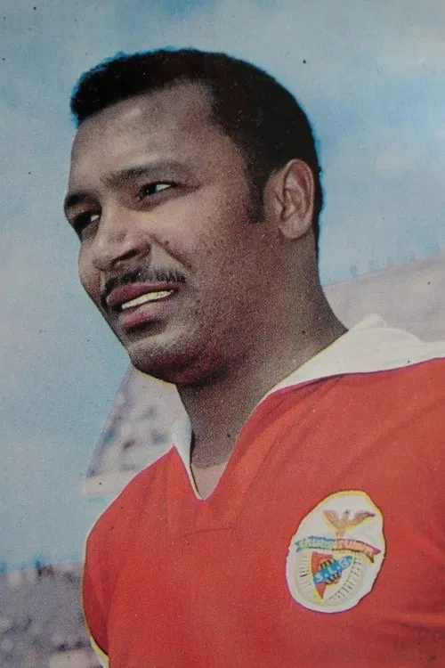 Mário Coluna profile picture