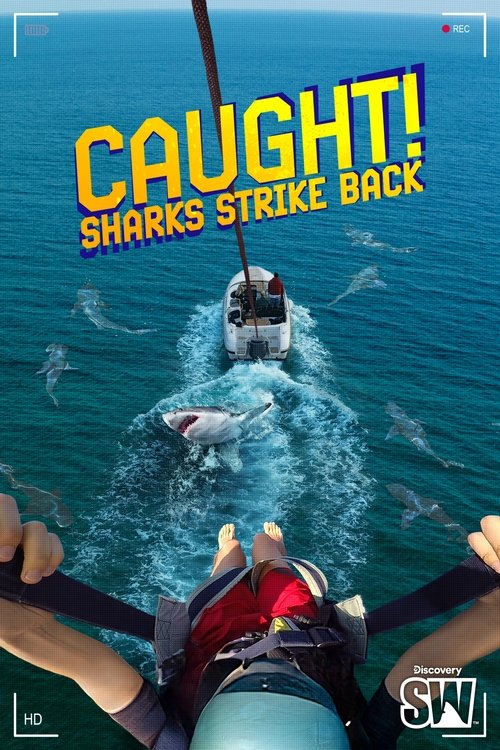 Caught! Sharks Strike Back movie poster