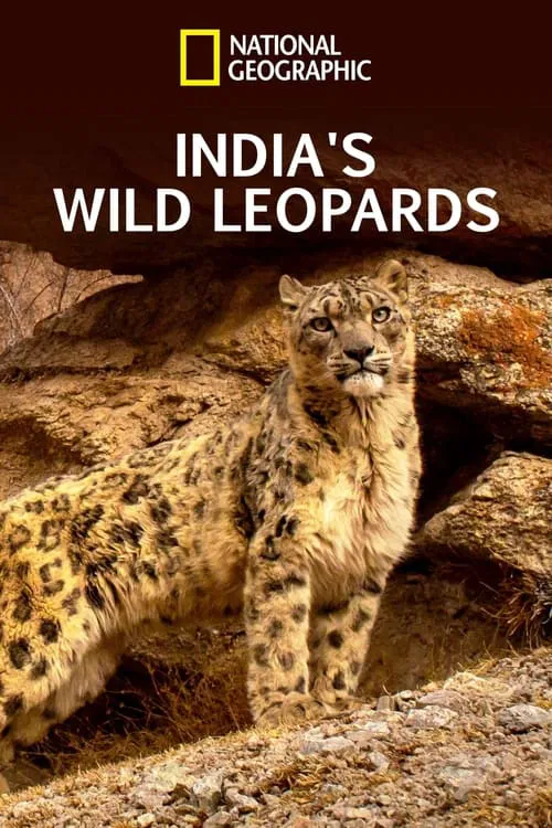 India's Wild Leopards movie poster