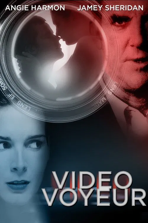 Video Voyeur: The Susan Wilson Story movie poster