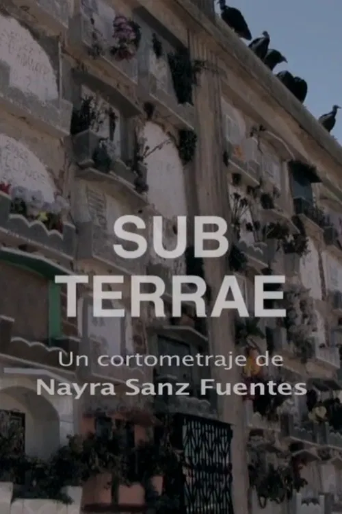 Sub Terrae movie poster