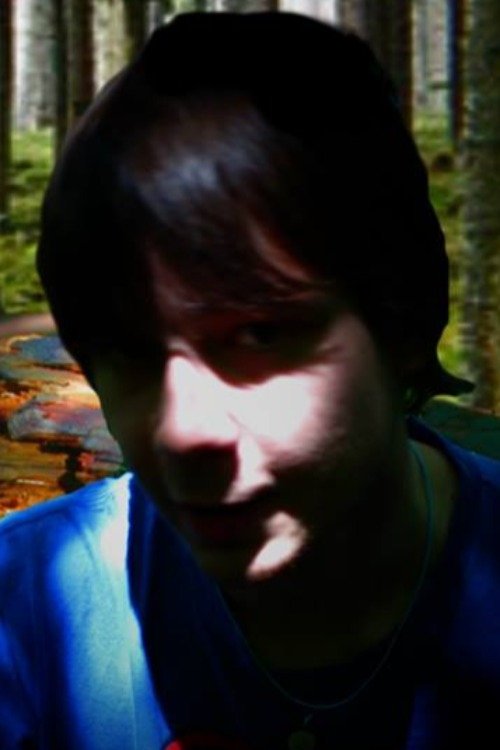 Poster do filme The Hamleigh Disappearances