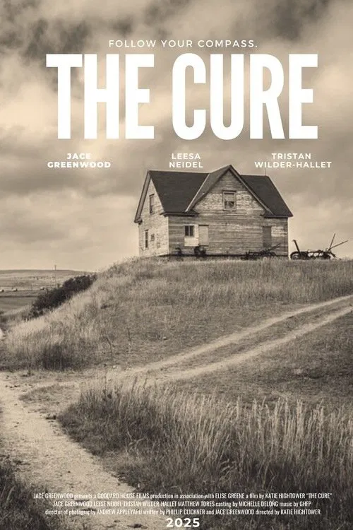 The Cure movie poster