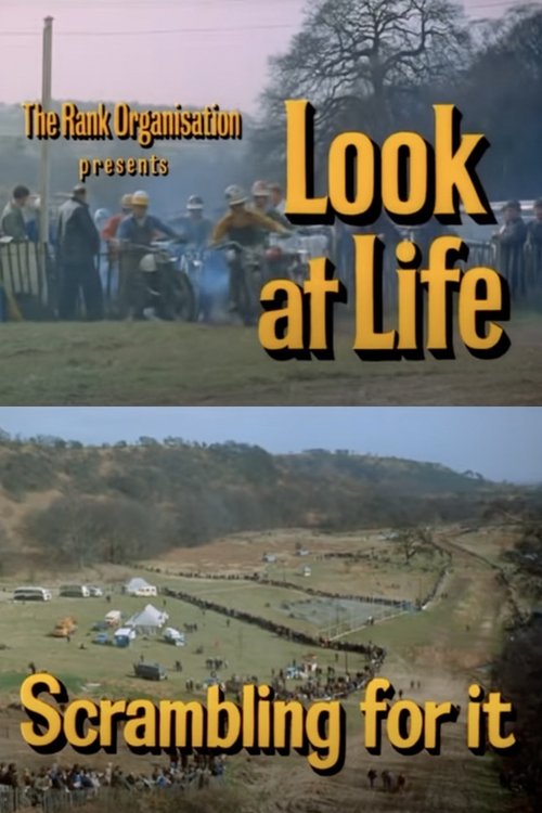 Look at Life: Scrambling for It movie poster