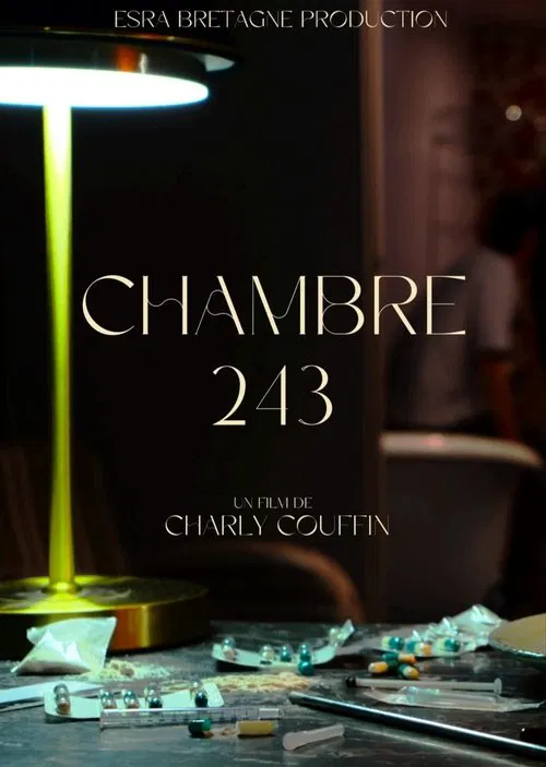Poster do filme Chambre 243
