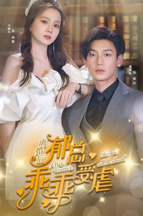 After Divorce Mr. Yu Will Be Abused tv show poster