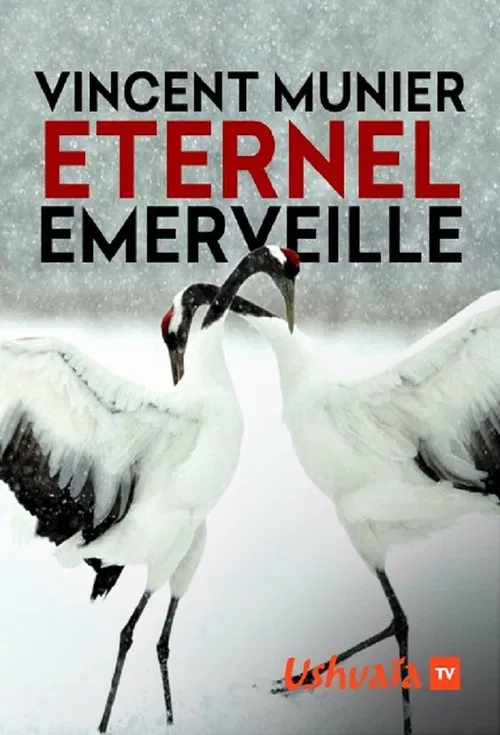 Vincent Munier, éternel émerveillé movie poster
