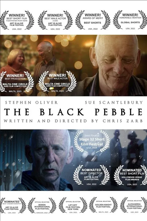 The Black Pebble movie poster