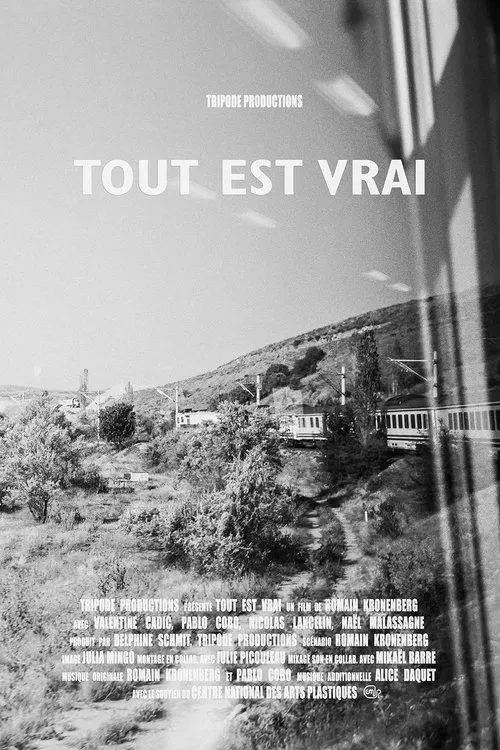 Tout est vrai (All Is True) movie poster