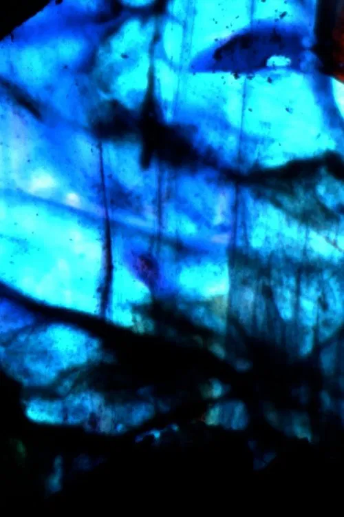 Old Magic movie poster