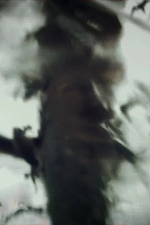 Spirit Stills movie poster