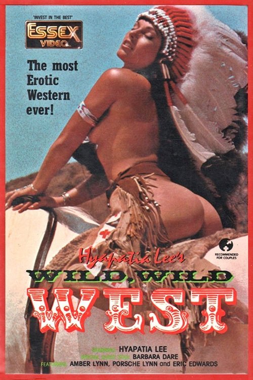 Poster do filme The Wild, Wild West