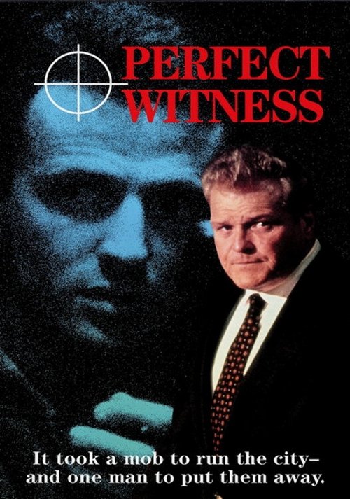 Perfect Witness movie poster