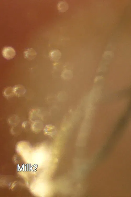 Perfect Cut movie poster