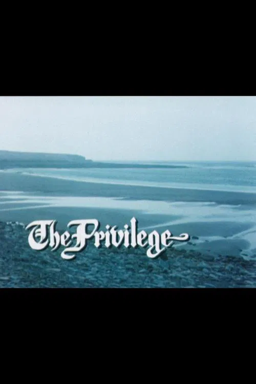The Privilege movie poster