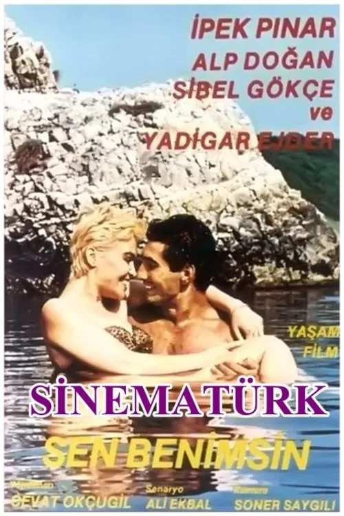 Poster do filme Sen Benimsin