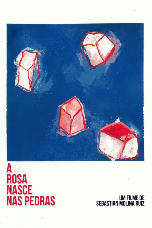 A Rosa Nasce Nas Pedras movie poster