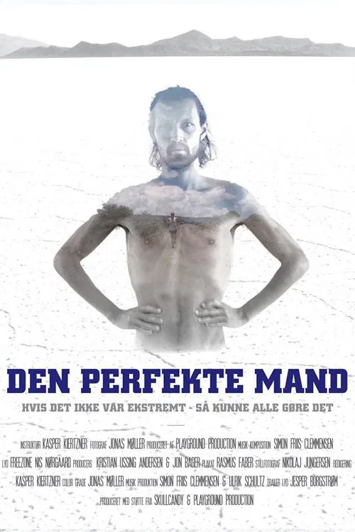 Den Perfekte Mand movie poster