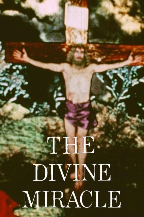 The Divine Miracle movie poster
