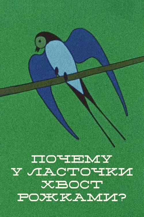Why the Swallow's Tail Is Double? movie poster