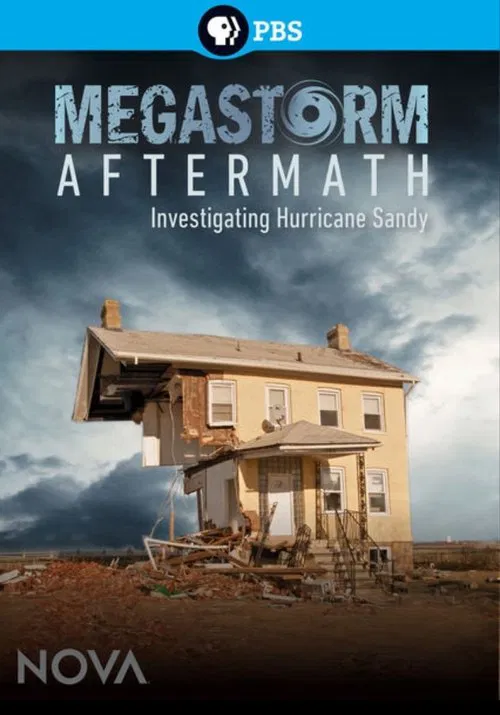 Megastorm Aftermath movie poster