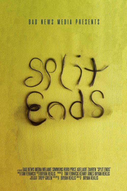 Split Ends movie poster