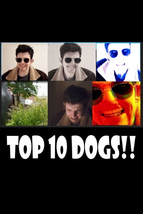 Top 10 Dogs!! movie poster