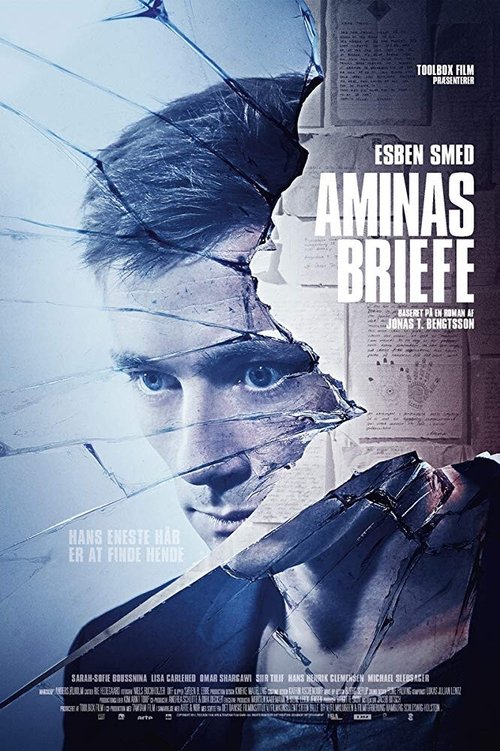 Letters to Amina movie poster