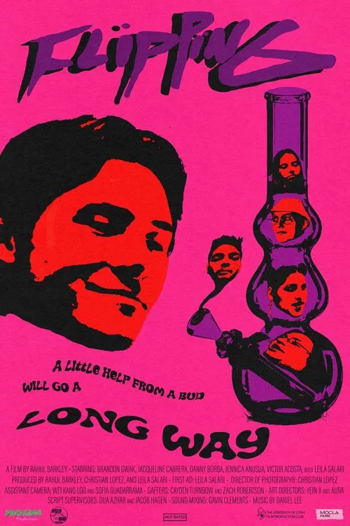 Poster do filme Flipping