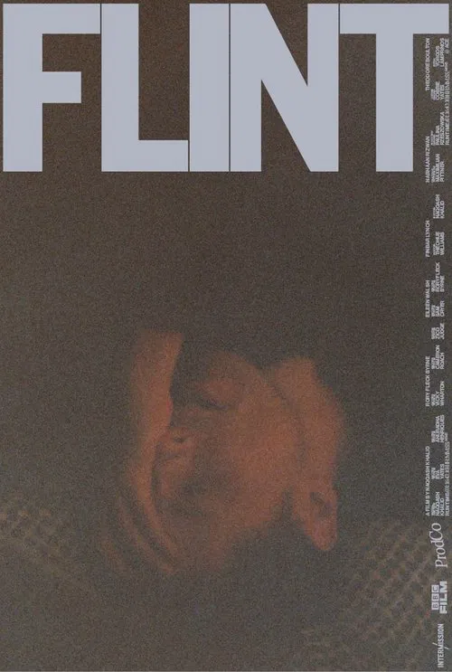 Poster do filme FLINT