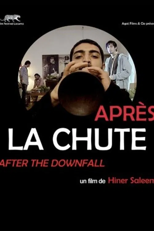 After the Downfall movie poster