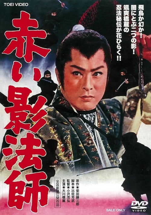 The Red Shadow movie poster