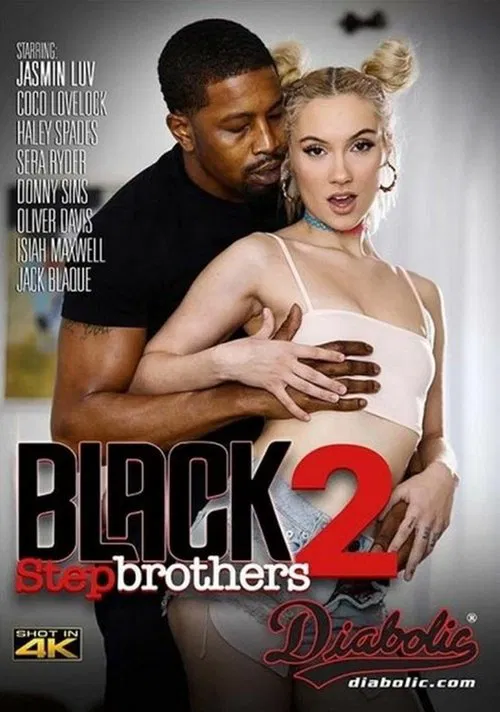 Black Stepbrothers 2 movie poster
