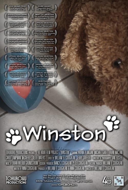 Poster do filme Winston