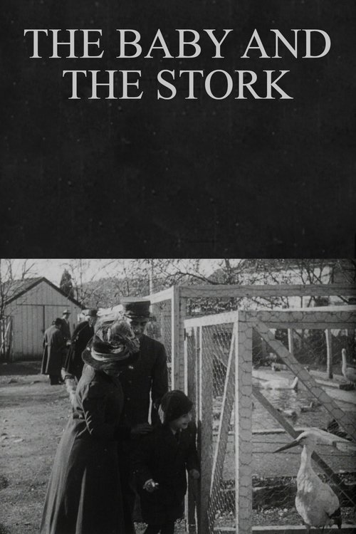 The Baby and the Stork movie poster