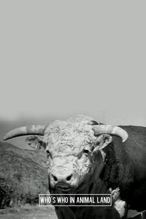 Who's Who in Animal Land movie poster