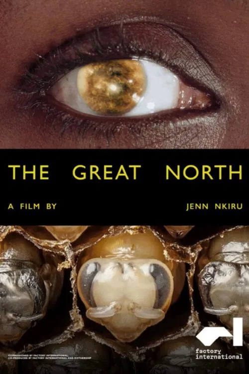 Poster do filme The Great North