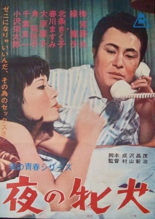 Poster do filme Night Bitch
