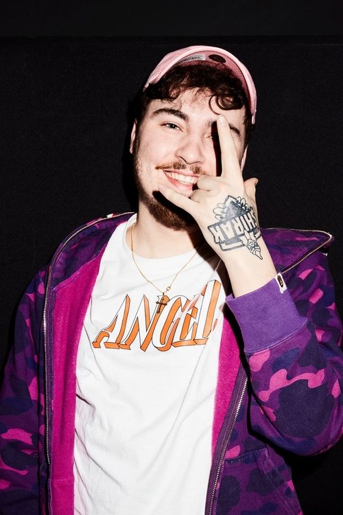 Julien Willemsen profile picture