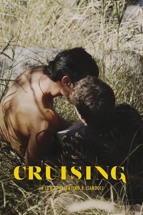 Poster do filme Cruising