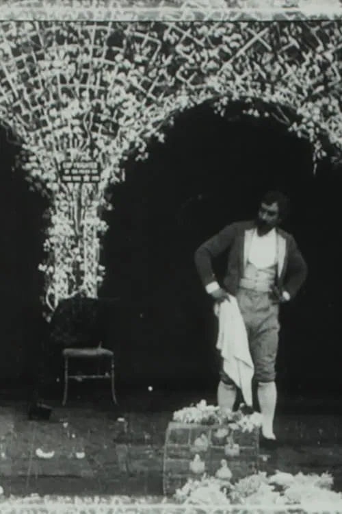 A Wager Between Two Magicians, or, Jealous of Myself movie poster
