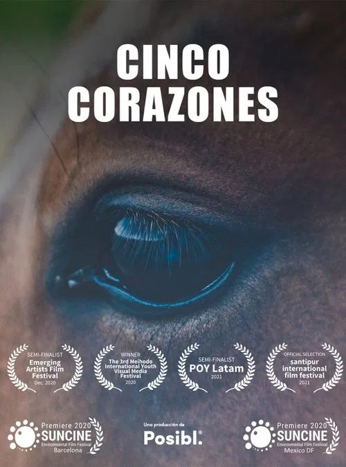 Cinco Corazones movie poster