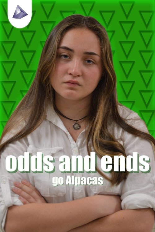 Odds & Ends tv show poster
