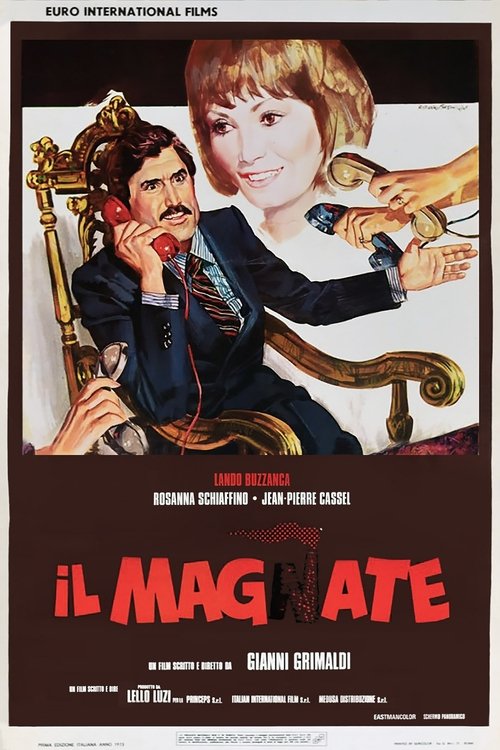 Poster do filme Wife for Sale