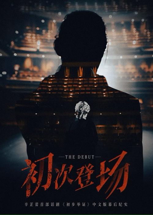 初次登场 movie poster