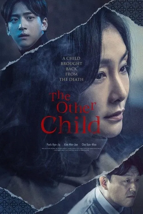 Poster do filme The Other Child