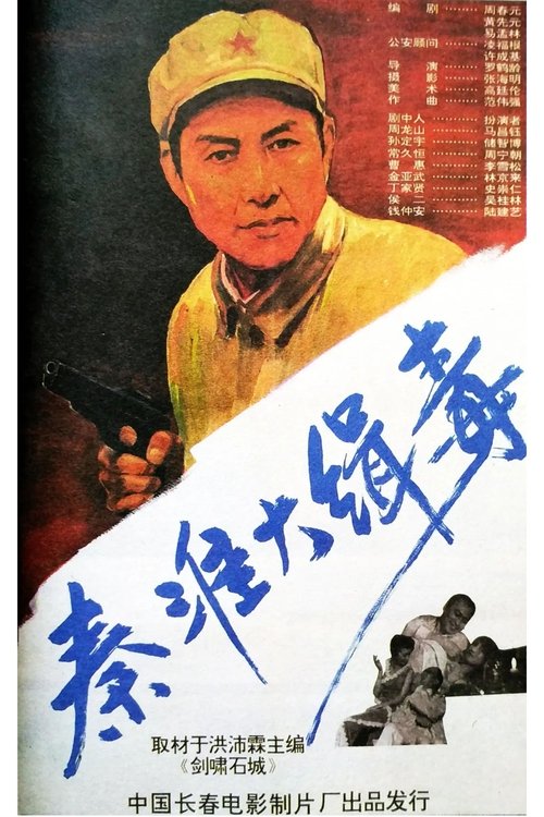 Seize Drg Smugglers in Qin Huai movie poster