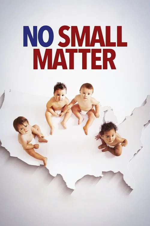 No Small Matter movie poster